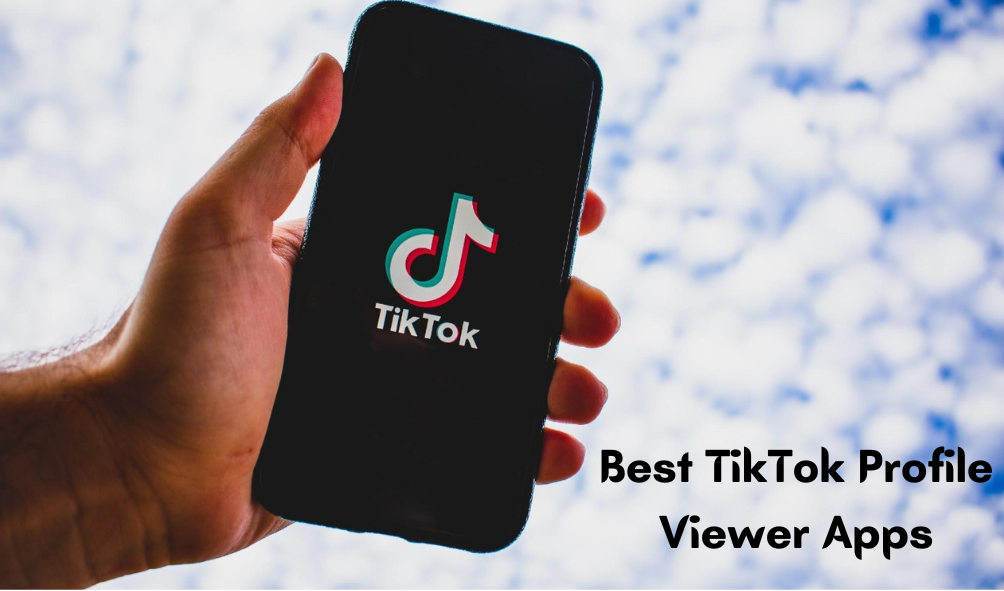TikTok Profile Viewer
