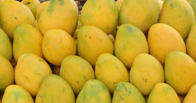 An image of Fresh Mangoes Price in Pakistan